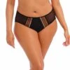 ELOMI Matilda Brief -Fashion Lingerie Store large 1 101 black