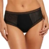 FANTASIE Fusion Brief