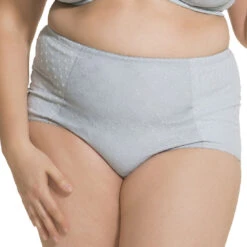 Frosted Parfait High Waist Brief