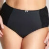 Chi Chi High Waist Brief -Fashion Lingerie Store large 1 3835 black