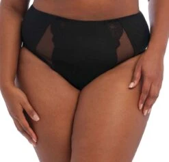 ELOMI Brianna Full Brief