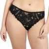 Arum Lace Hipster Brief -Fashion Lingerie Store large 1 6255 black