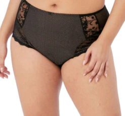 ELOMI Charley Full Brief