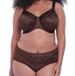 GODDESS Kayla Brief -Fashion Lingerie Store large 2 304 leo print
