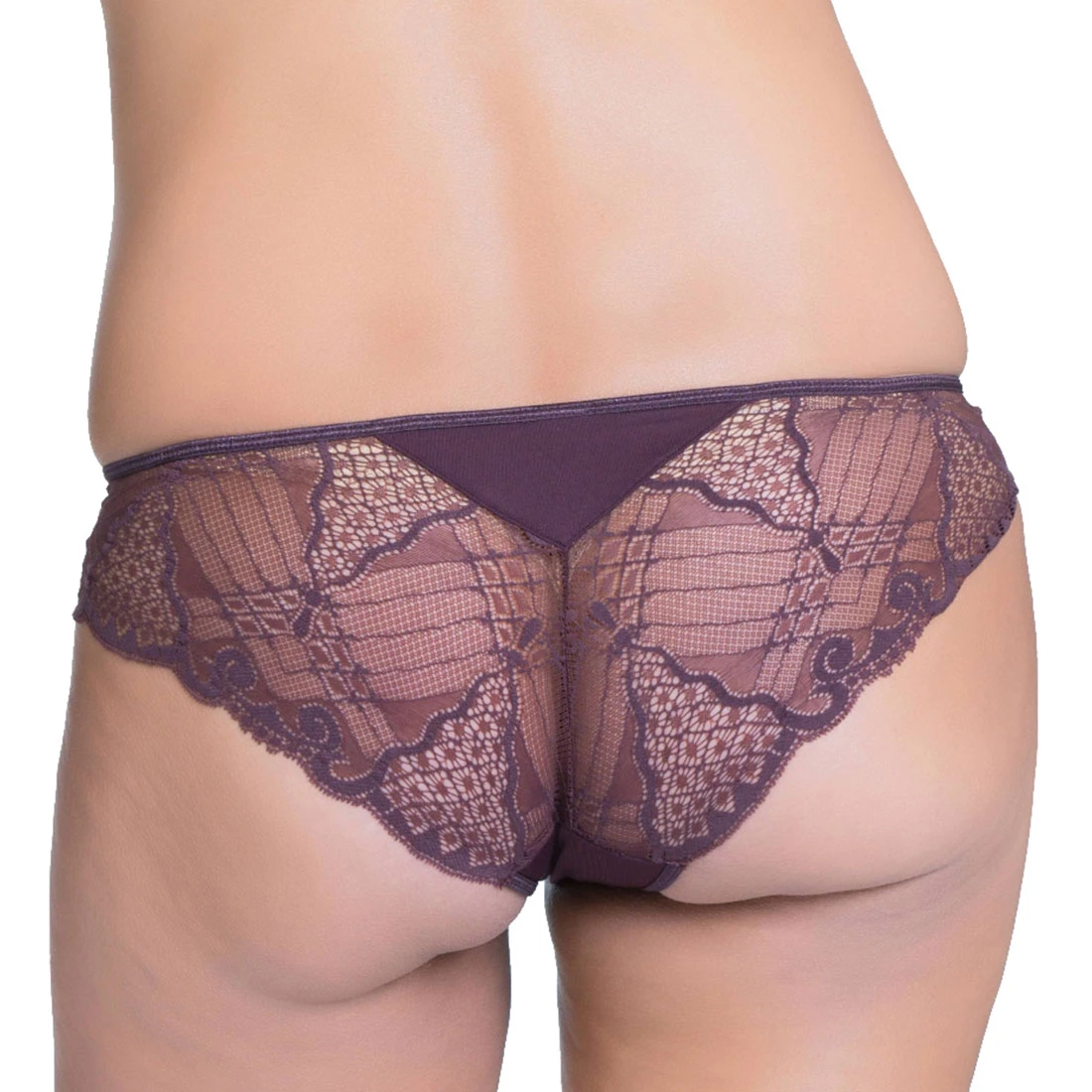 Truffles Lace Brief 4 Truffles Lace Brief - Image 2
