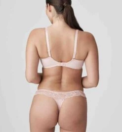 PRIMADONNA Madison Thong Powder Rose -Fashion Lingerie Store large 3 6123 pink